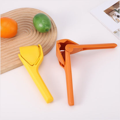 Manual Citrus Juicer Fruit Squeezer