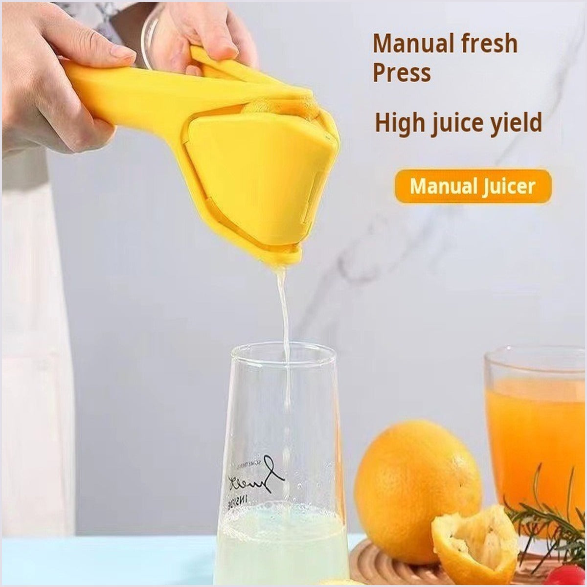 Manual Citrus Juicer Fruit Squeezer