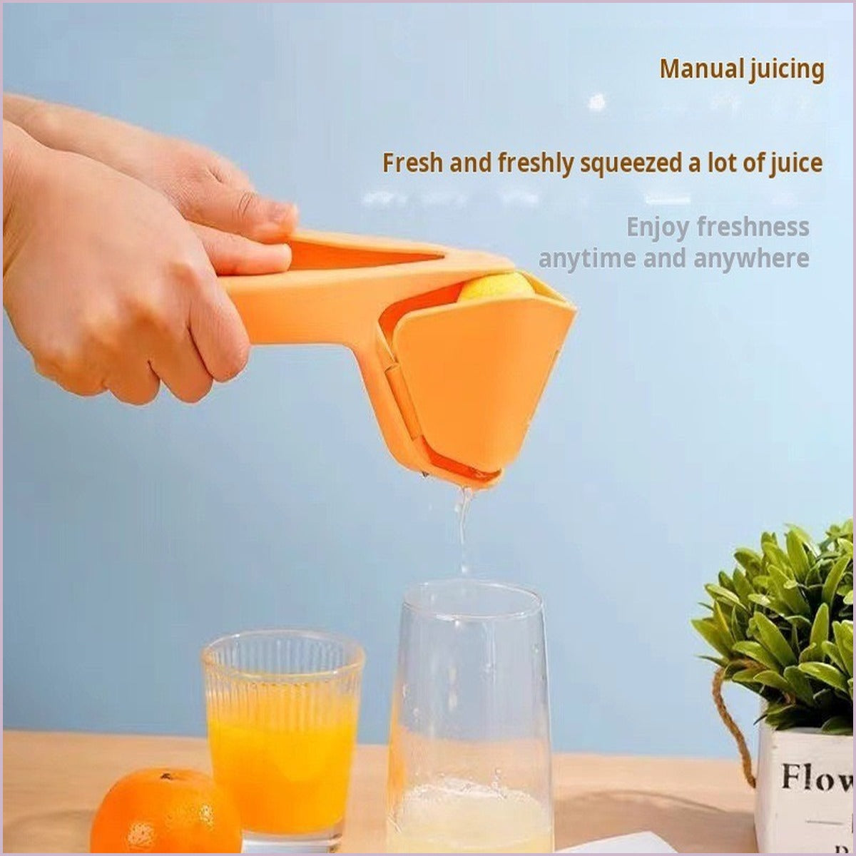 Manual Citrus Juicer Fruit Squeezer