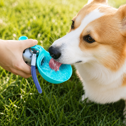 🔥 Hot Sale 50% OFF — 𝐍𝐞𝐜𝐭𝐚𝐯𝐢𝐫𝐚® Stainless Steel Pet Water Bottle | Leak-Proof Travel Dog & Cat Water Bottle for Walking, Hiking, Park Days & Outdoor Adventures🐾3